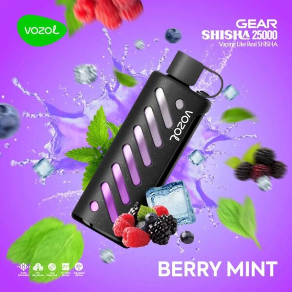 VOZOL GEAR SHISHA 25000 BERRY MINT
