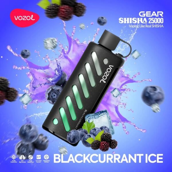 VOZOL GEAR SHISHA 25000 BLACKCURRANT ICE