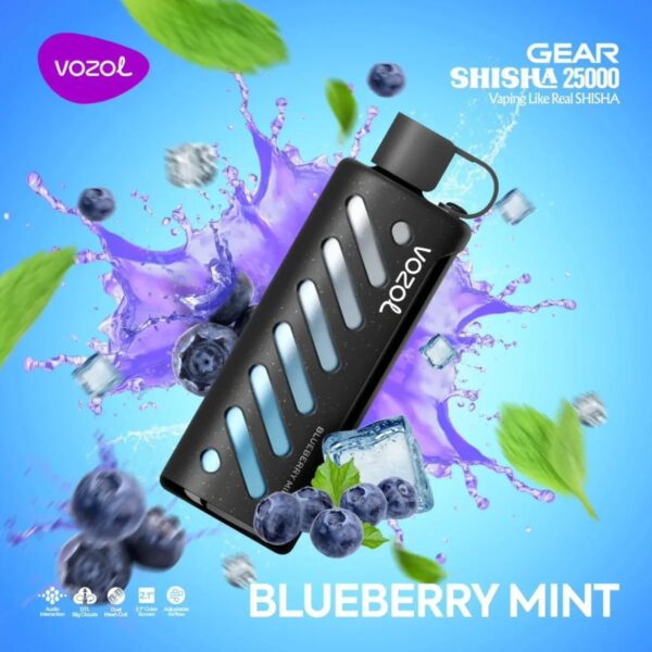 VOZOL GEAR SHISHA 25000 BLUEBERRY MINT